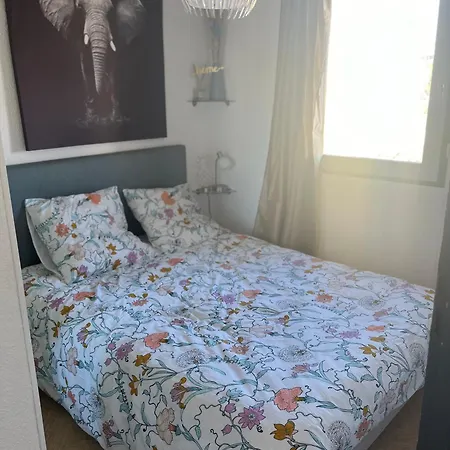 公寓 Bellavista 圣西普里安