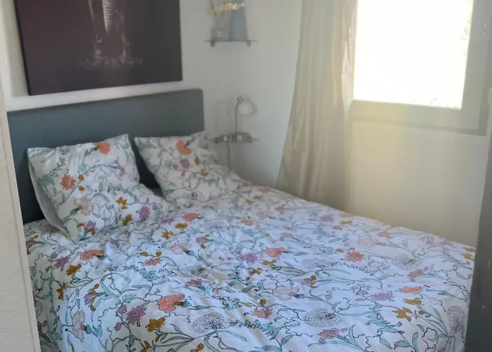 Apartamento Bellavista Saint-Cyprien (Pyrenees-Orientales)
